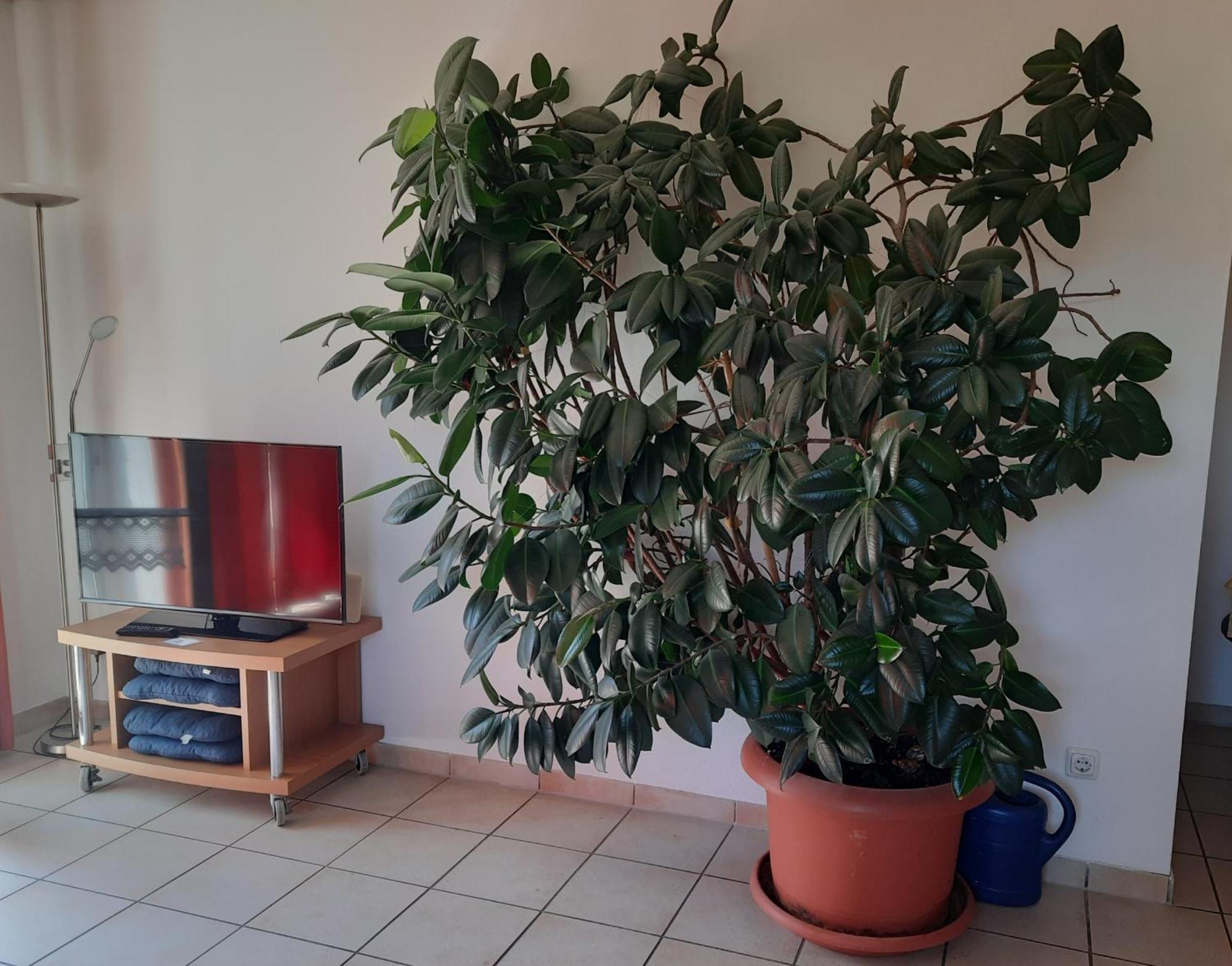 Ferienwohnung Ferstl Riedenburg Εξωτερικό φωτογραφία